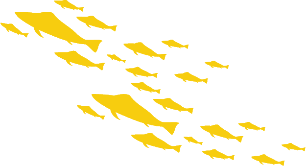 Fish Group